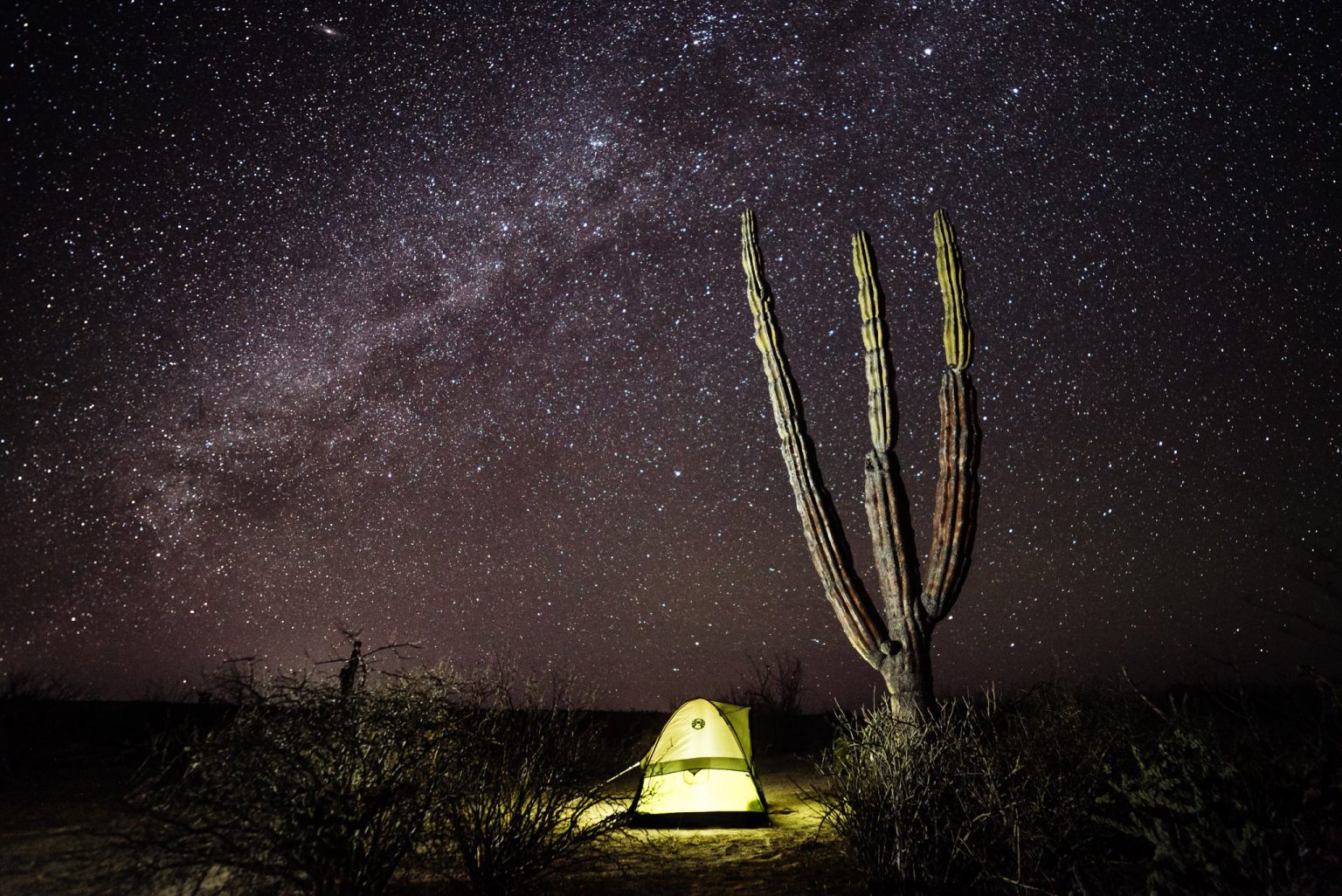 A Starry Night in Baja – Kamran On Bike