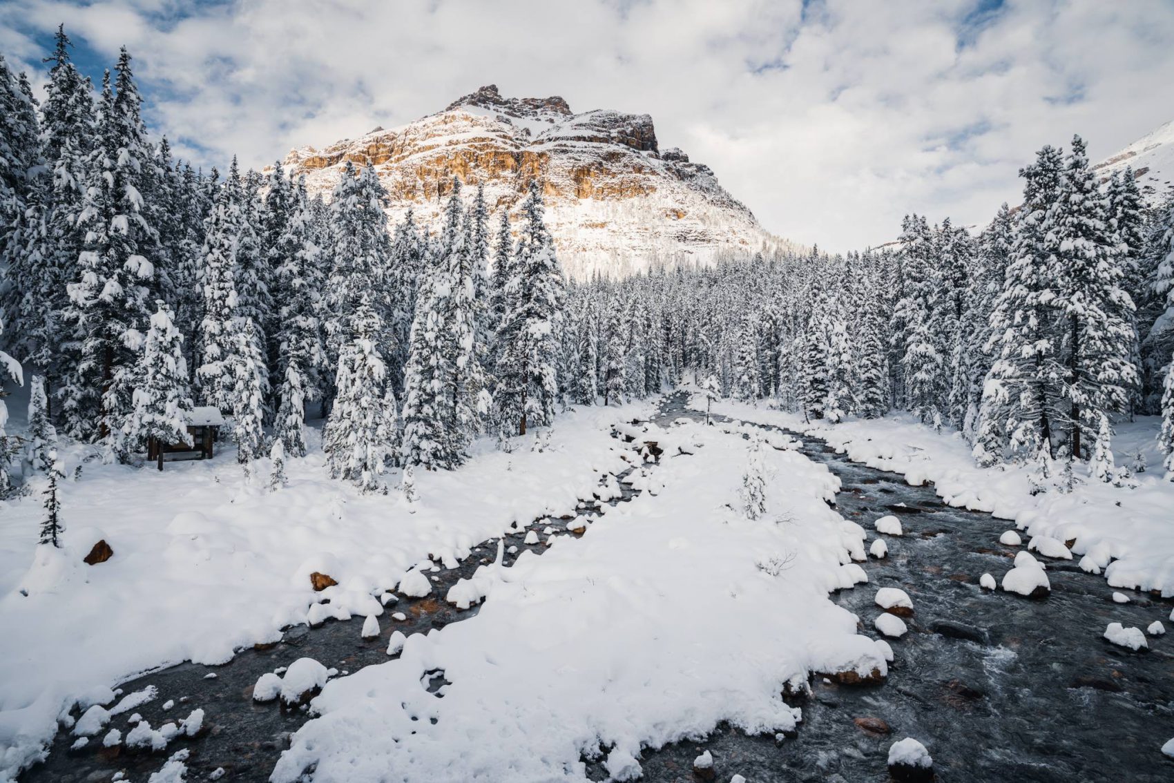 Banff And Jasper National Parks, Canada – Kamran On Bike